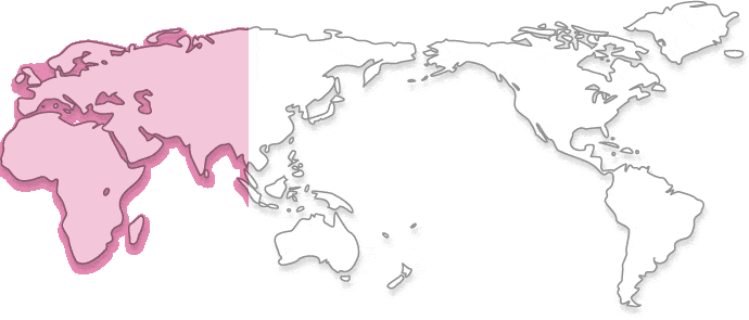 Please select your region